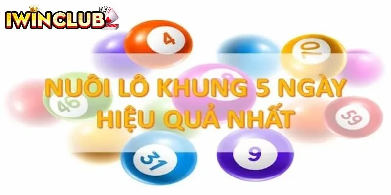 Nuôi lô đề khung 5 ngày hiệu quả nhất