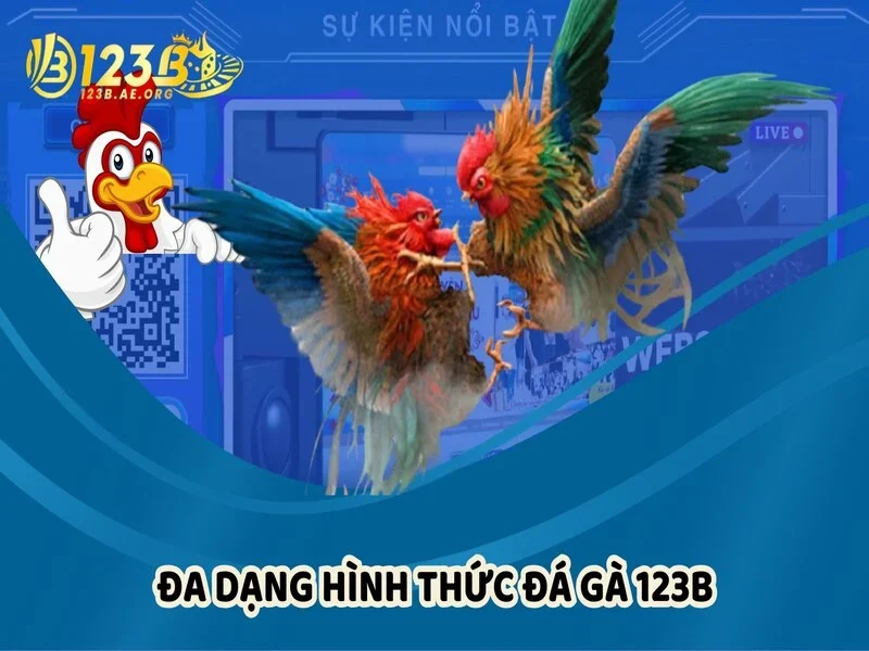 Hệ thống kèo tại Đá gà 123B