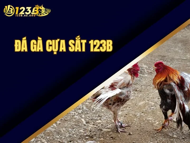 Đá gà cựa sắt 123B