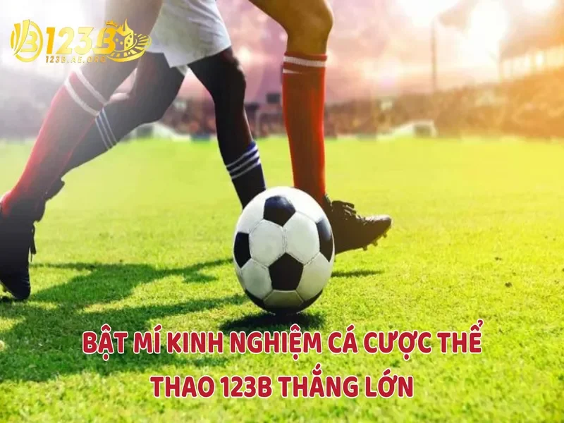Bật mí kinh nghiệm cá cược thể thao 123B thắng lớn