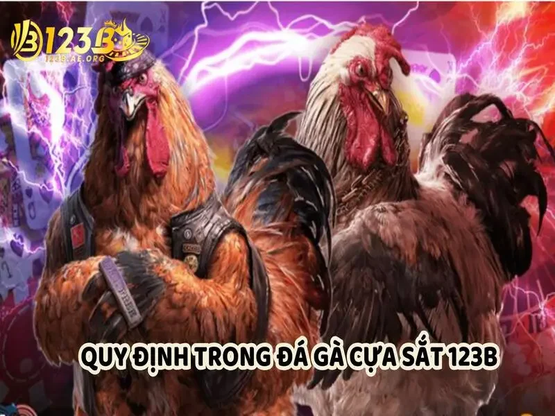 Quy định trong đá gà cựa sắt 123B