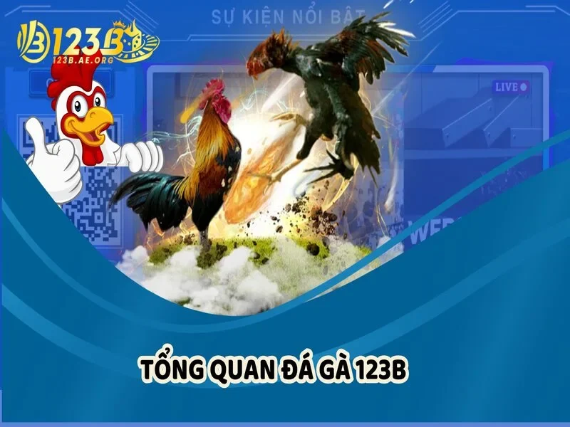 Tổng quan sảnh Đá gà 123B