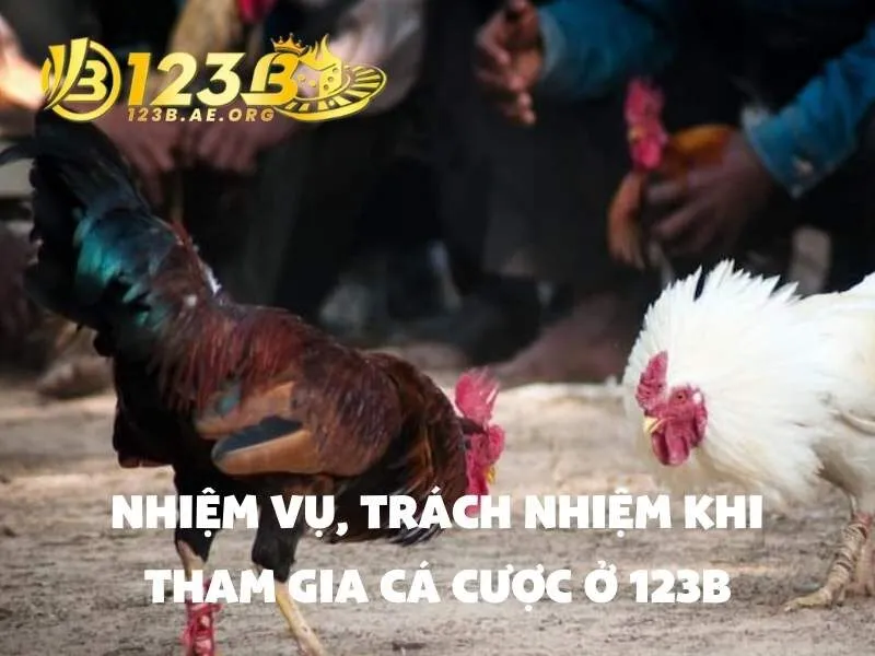 Tìm hiểu đá gà C1