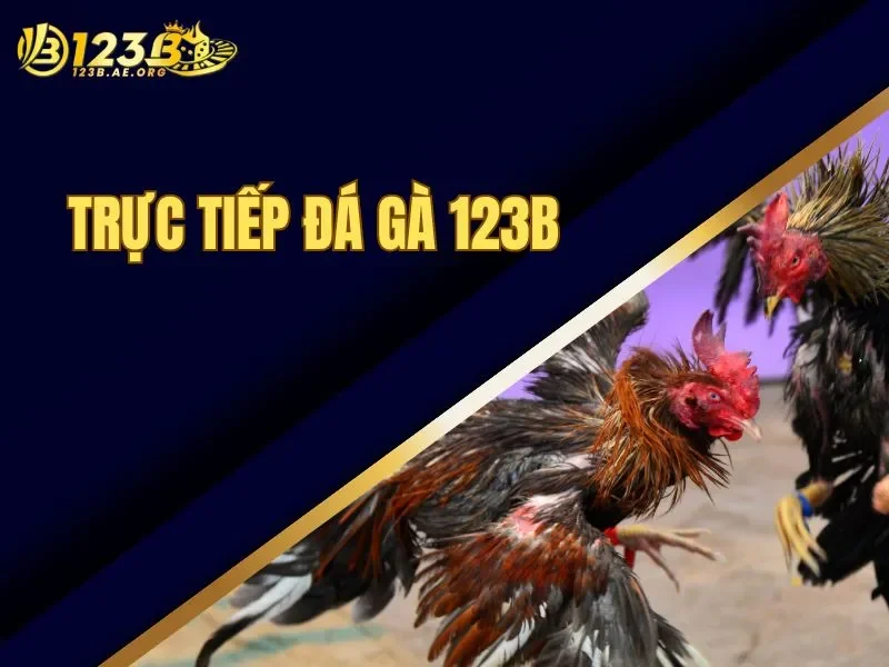 Trực tiếp đá gà 123B